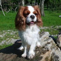 /album/fotogalerie-/cimg1872-jpg/