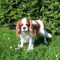 /album/fotogalerie-/cimg1884-jpg/