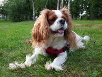 /album/fotogalerie-/cimg2032-jpg/